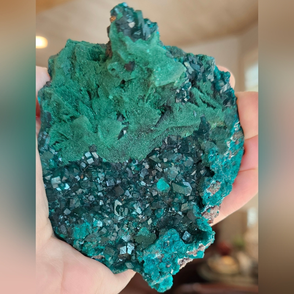 RARE Quality Large Dioptase W/ Malachite And A Bit Of Shattuckite! Stunning!